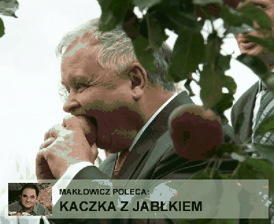 f_MaklowiczPom_4a845c5.jpg